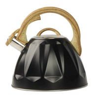 CZAJNIK NIERDZEWNY 3L ALBERT CZARNY WTK501