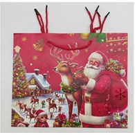 TORBA PREZENTOWA ŚWIĄTECZNA 23x18x9CM 25KB1169-1