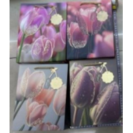 TORBA PREZENTOWA PAPIEROWA 17,5x24x8CM 25KB-1161-1